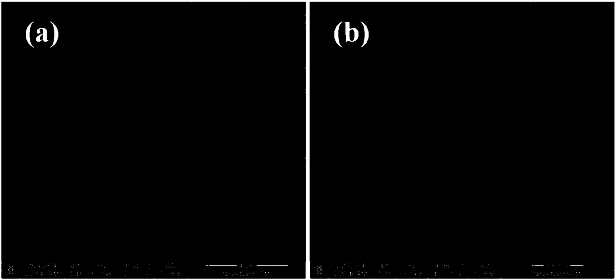 Lithium-rich manganese-based positive electrode material precursor, positive electrode material and preparation method thereof