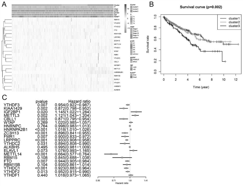 application of m6A modification related combined genome in predicting curative effect of immunotherapy for patients with renal clear cell carcinoma