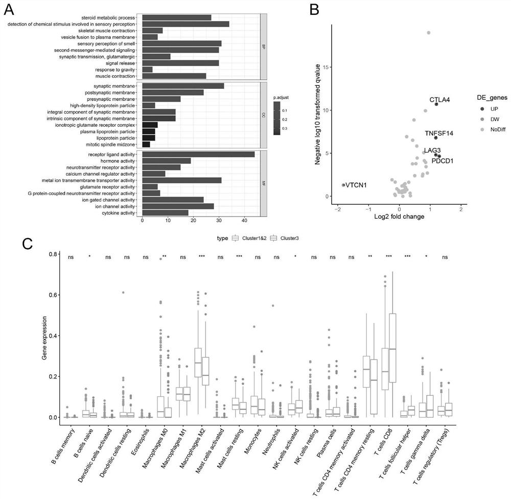 application of m6A modification related combined genome in predicting curative effect of immunotherapy for patients with renal clear cell carcinoma