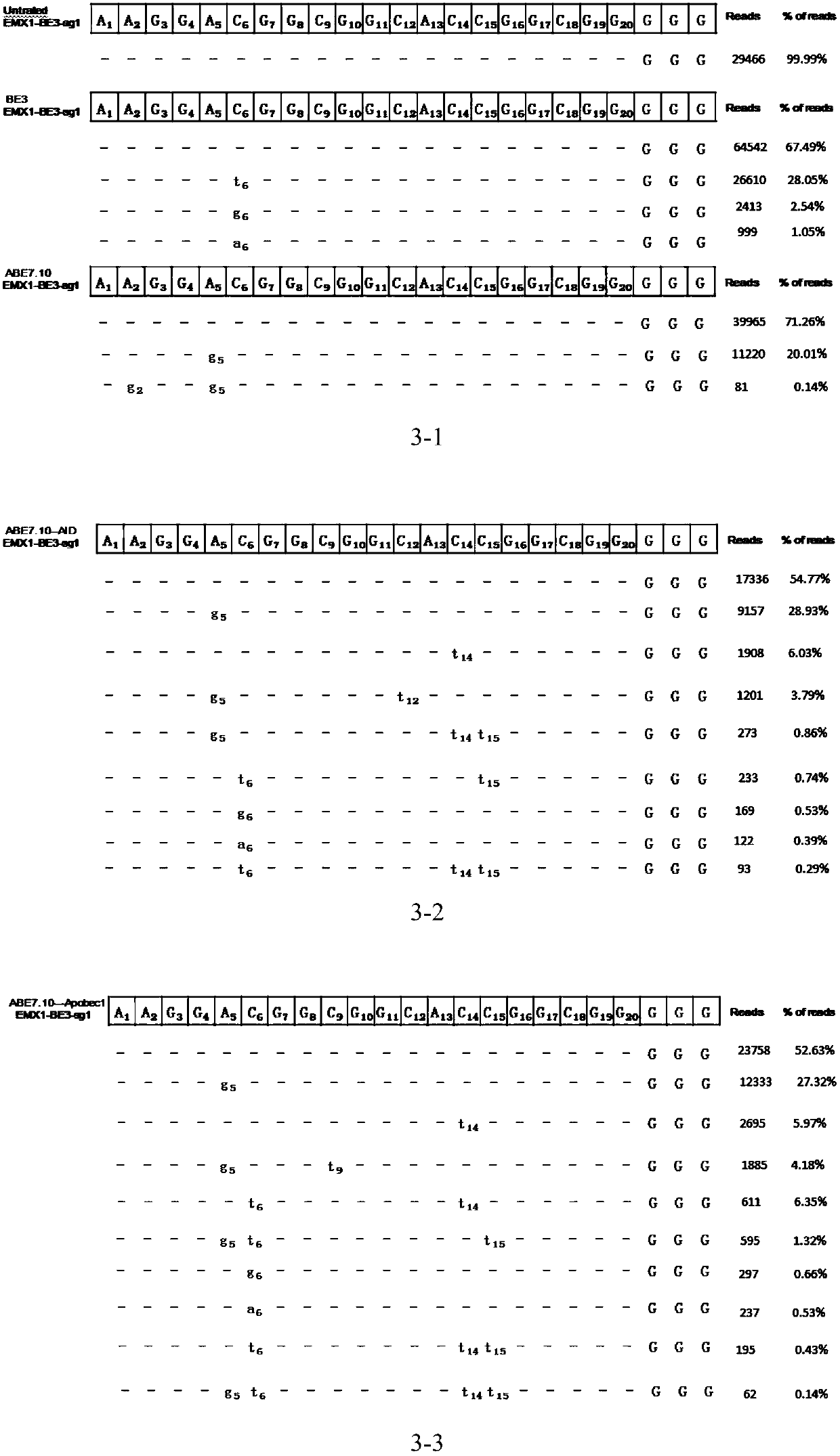 Construction method of novel base conversion editing system and application thereof