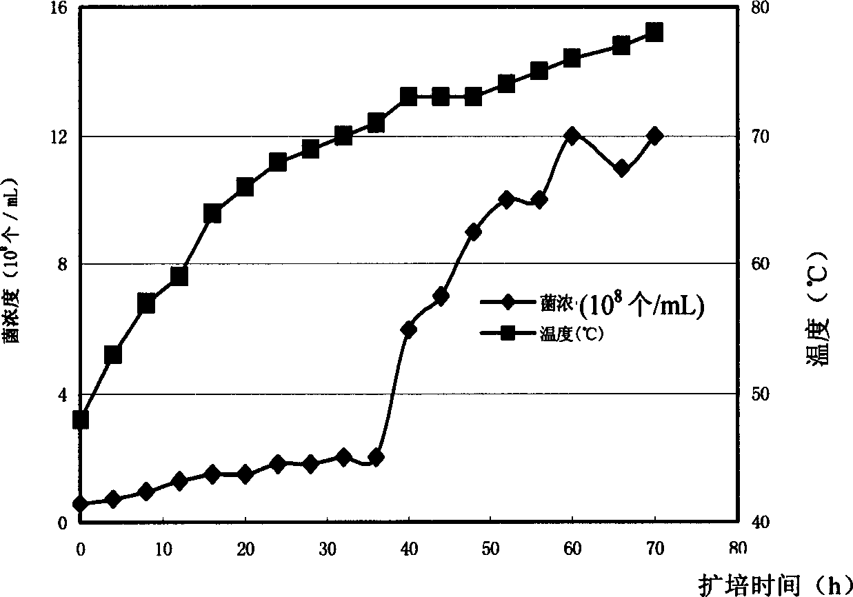 Bacillus subtilis and application thereof