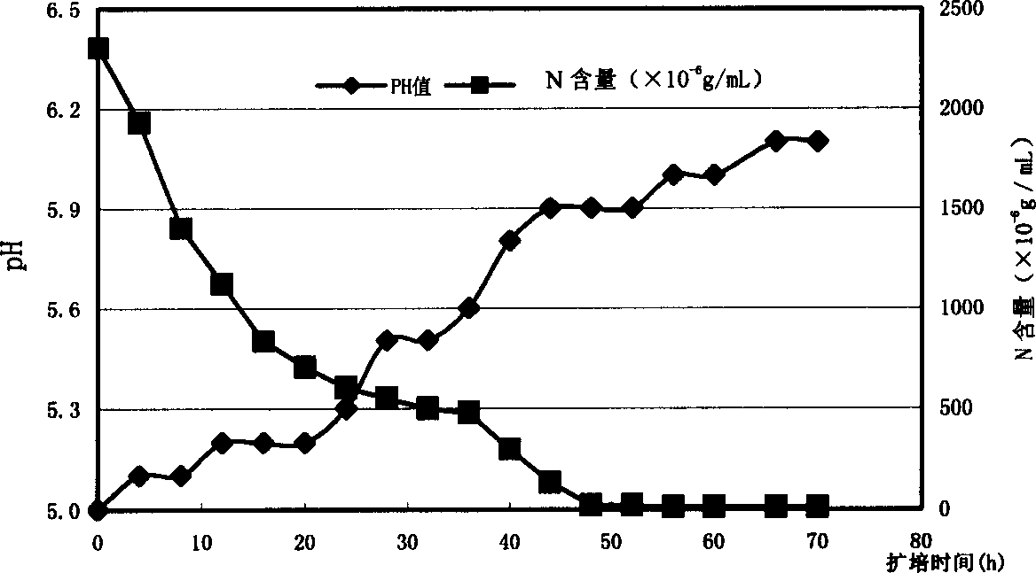 Bacillus subtilis and application thereof