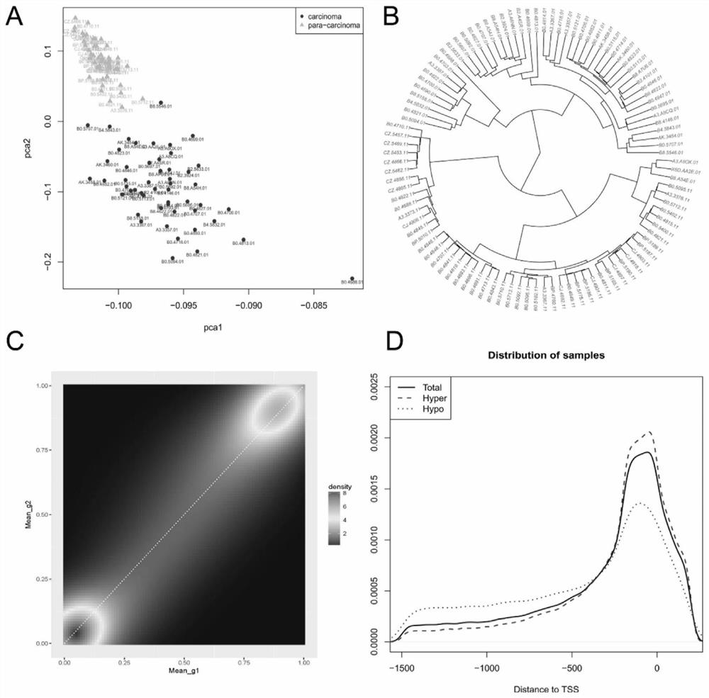 DNA methylated biomarker related to prognosis of renal clear cell carcinoma