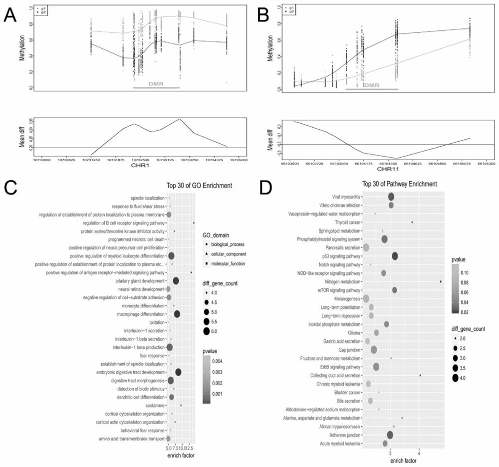 DNA methylated biomarker related to prognosis of renal clear cell carcinoma