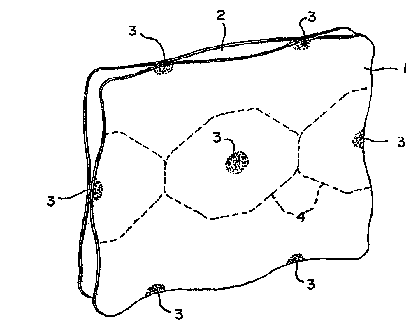 Pillow panel reactor and process