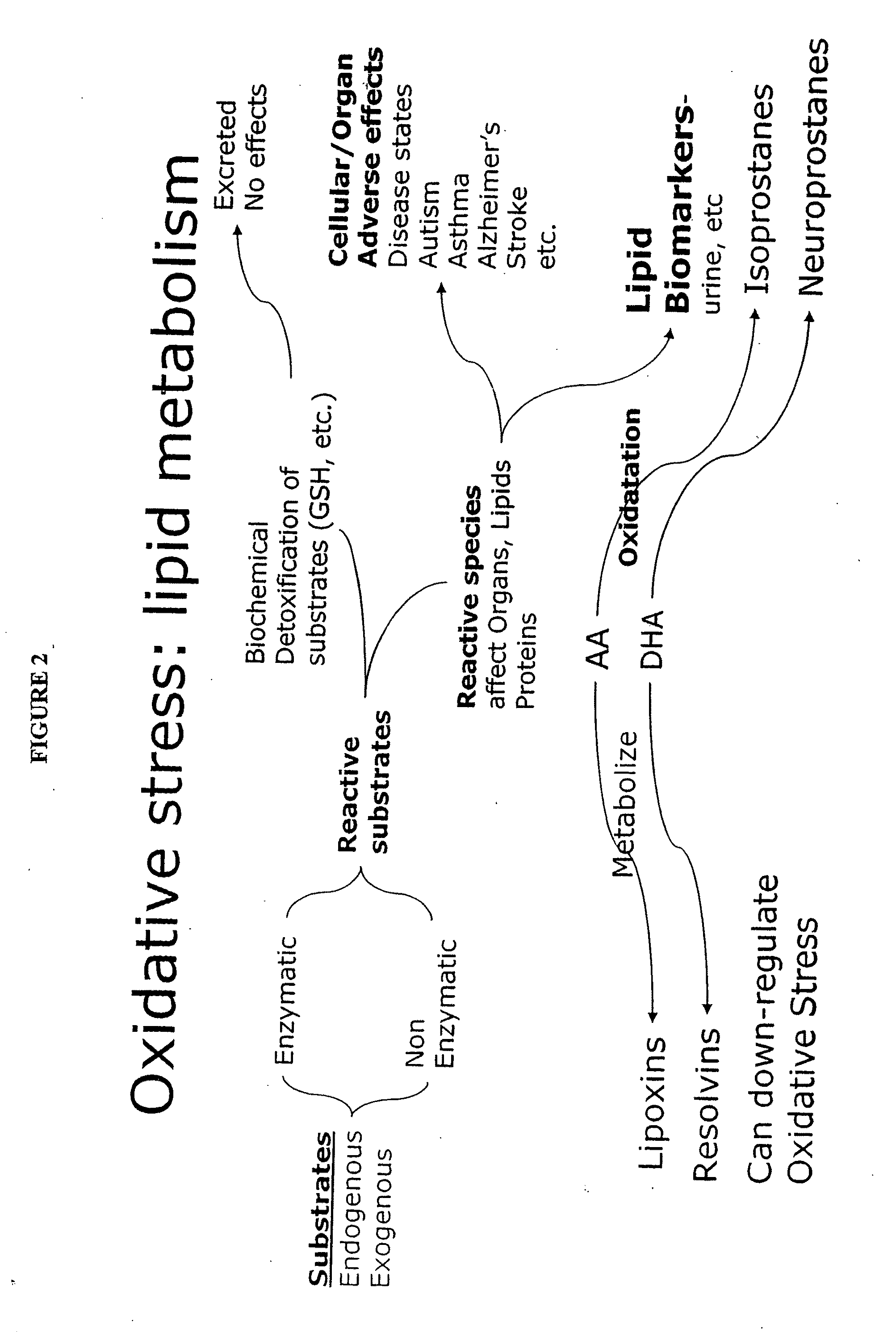 Biochemical Markers for Disease States and Genes for Identification of Biochemical Defects