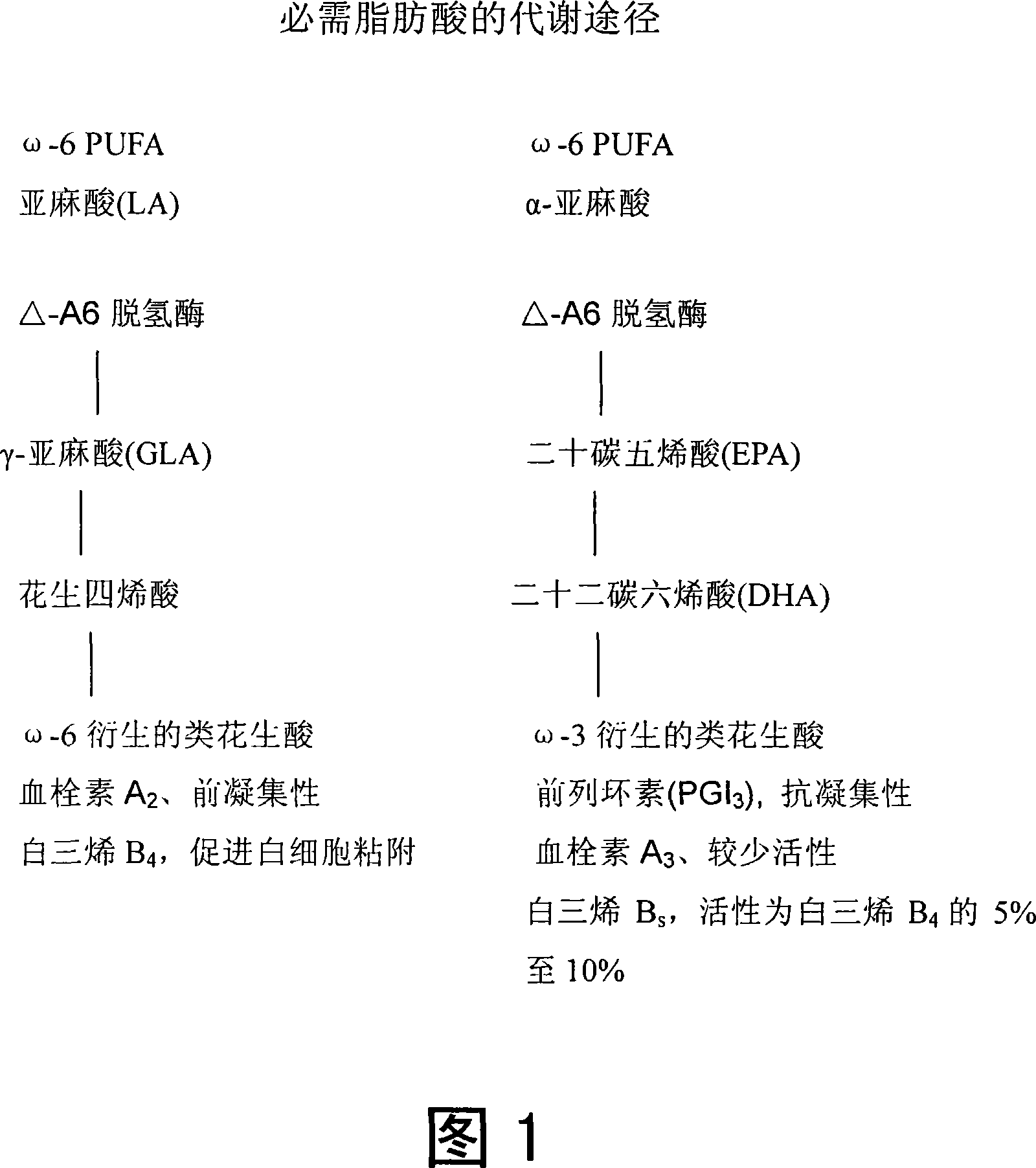 Cardiovascular compositions