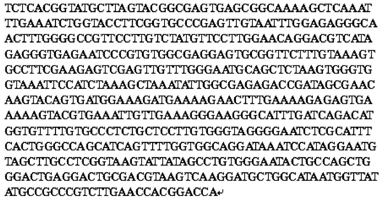 Saccharomyces cerevisiae, extraction method and application thereof