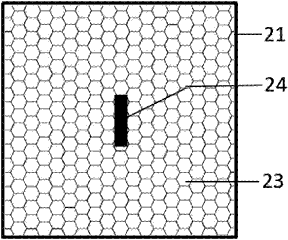 Long-distance transport device and transport method for crown-of-thorns starfish parents