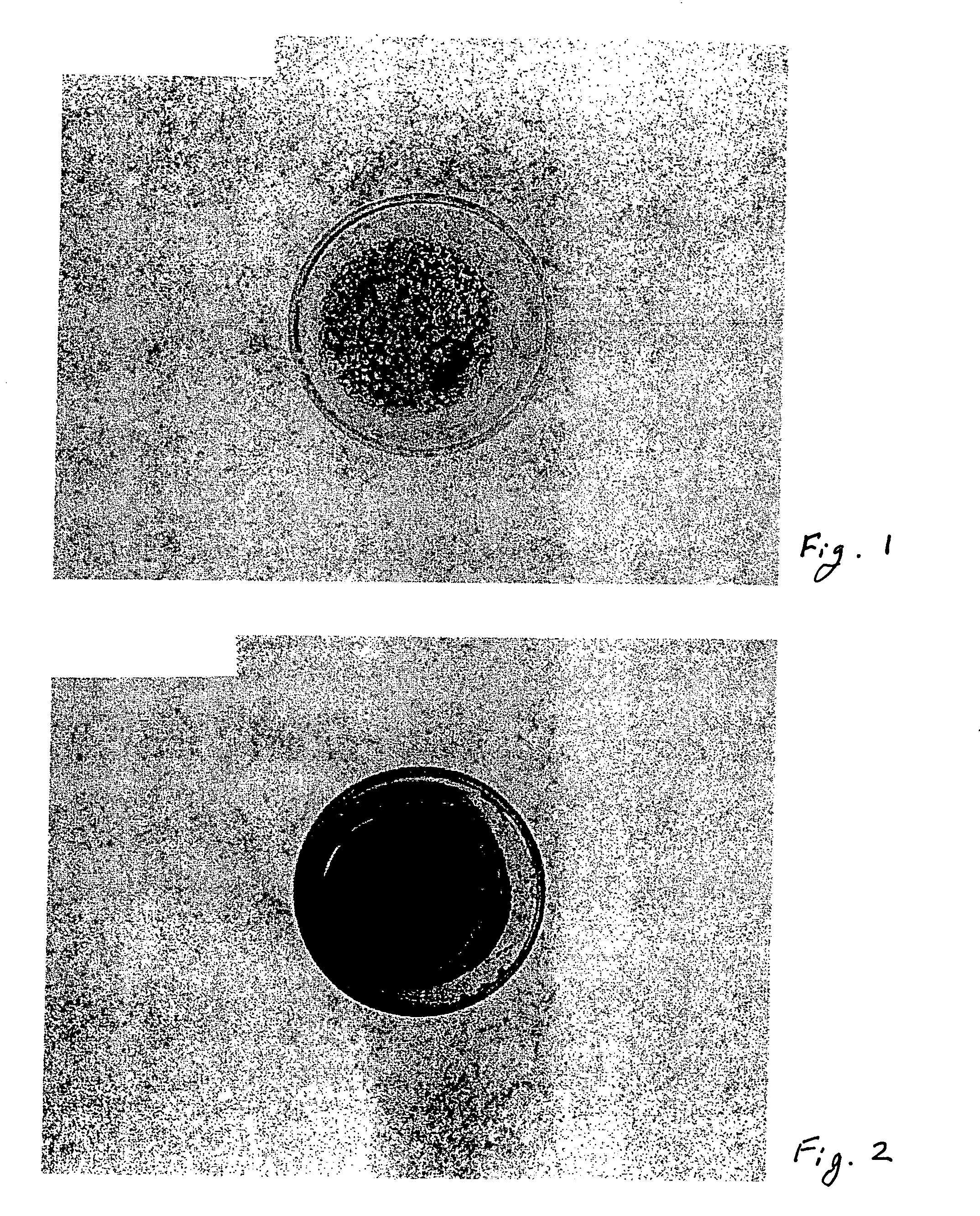 Method for high energy density biomass-water slurry