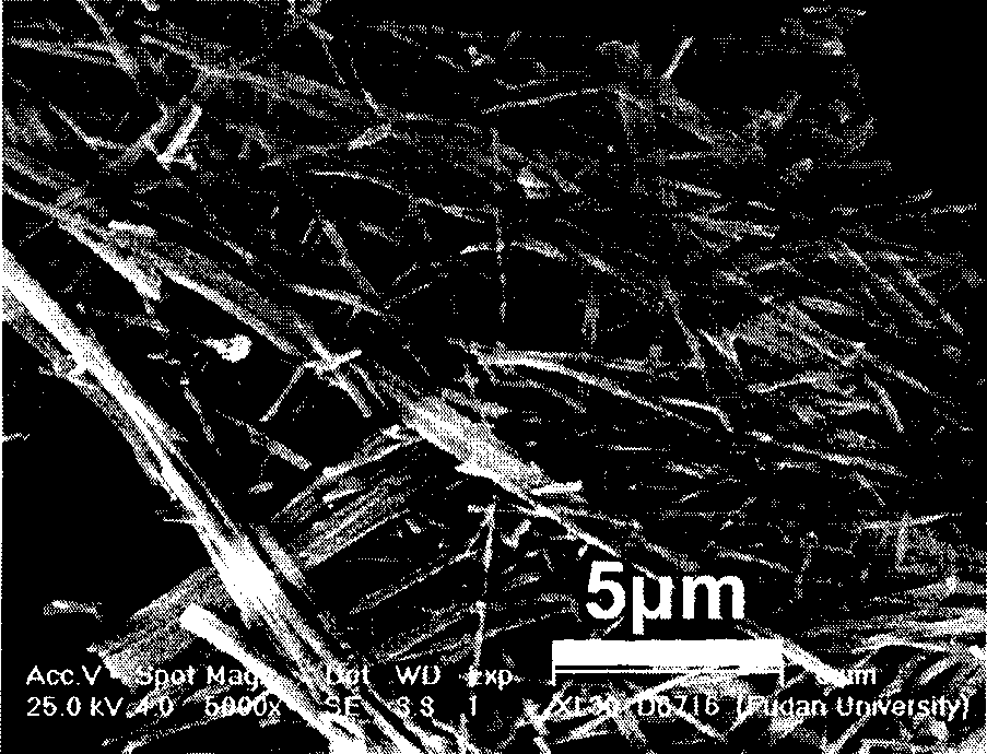 Synthesis of stephanoporate molybdenum carbide nano-wire