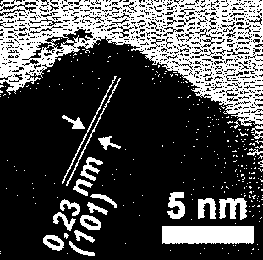 Synthesis of stephanoporate molybdenum carbide nano-wire