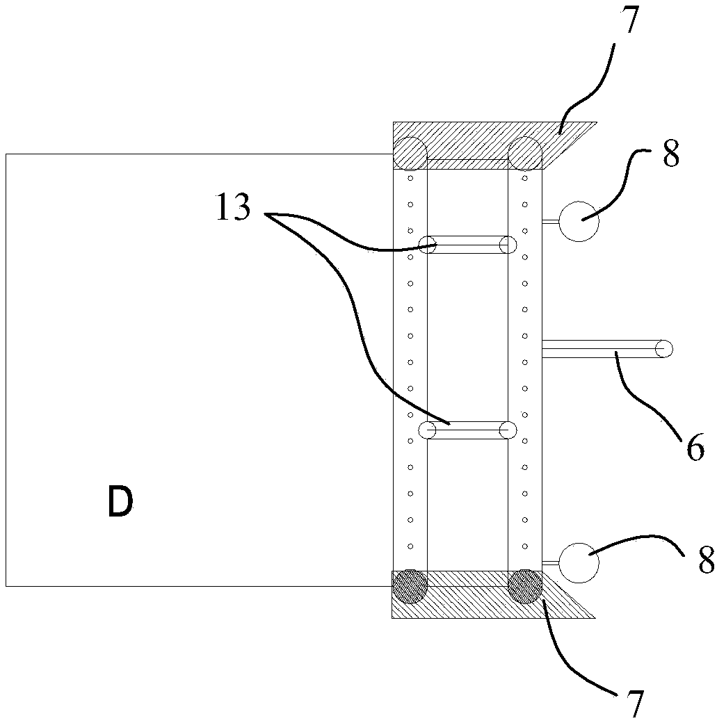 Urechis unicinctus collecting device