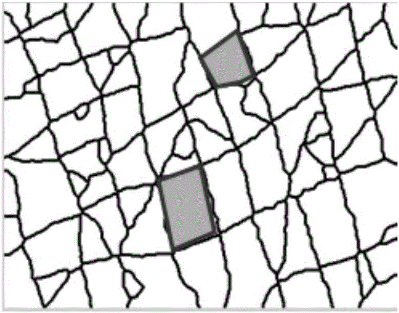 Noninvasive age estimation method based on skin texture information