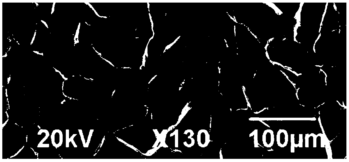 Porous coarse cereal flour including dietary fibers