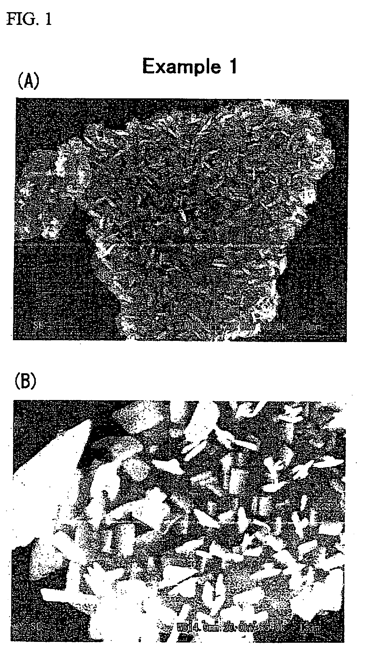 Composite powder, cosmetics containing the same, and process for producing composite powder