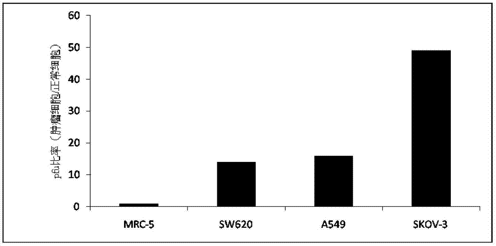 Human DC-CIK immunocompetent cell and preparing method thereof