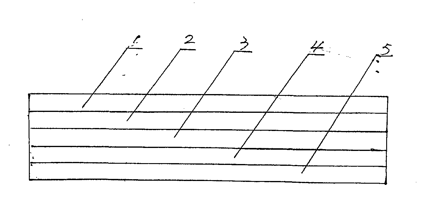 Scratch type laser holographic anti-counterfeiting film and preparation method thereof