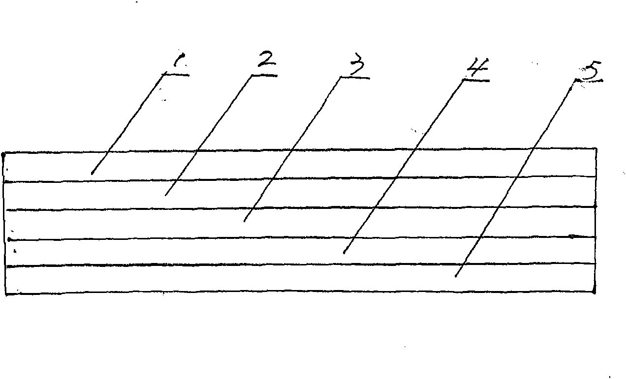 Scratch type laser holographic anti-counterfeiting film and preparation method thereof