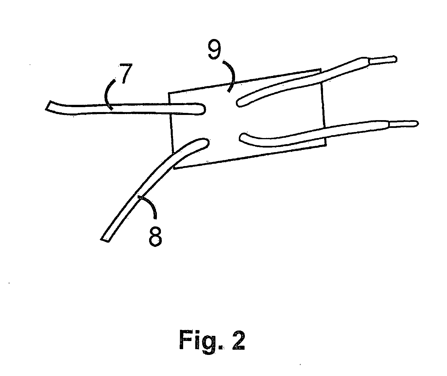 Apparatus and method for fastening a shoe