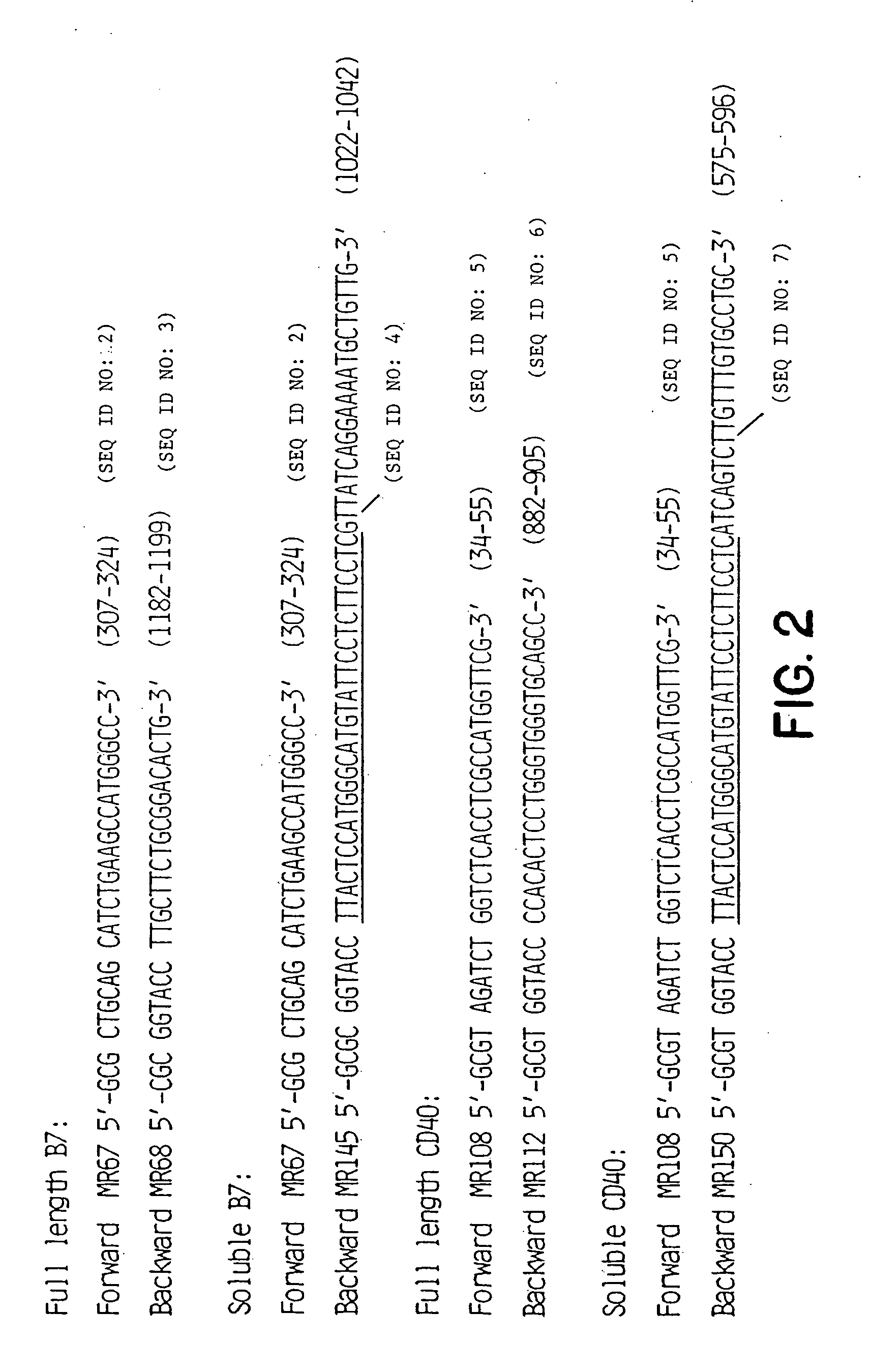 Anti-CD40 antibodies capable of blocking B-cell activation