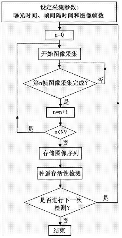 Non-invasive method and device for detecting survival status of egg embryo