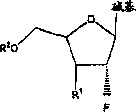 2'-fluoroncucleosides