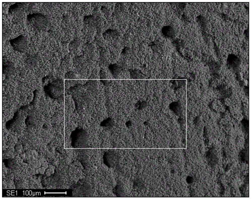 Preparation method of adsorbent for selectively separating cesium ions from salt lake brine