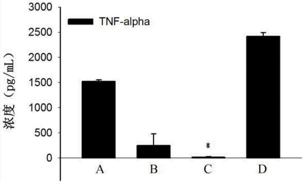 Probiotic composition for enhancing gynecological inflammation resistance