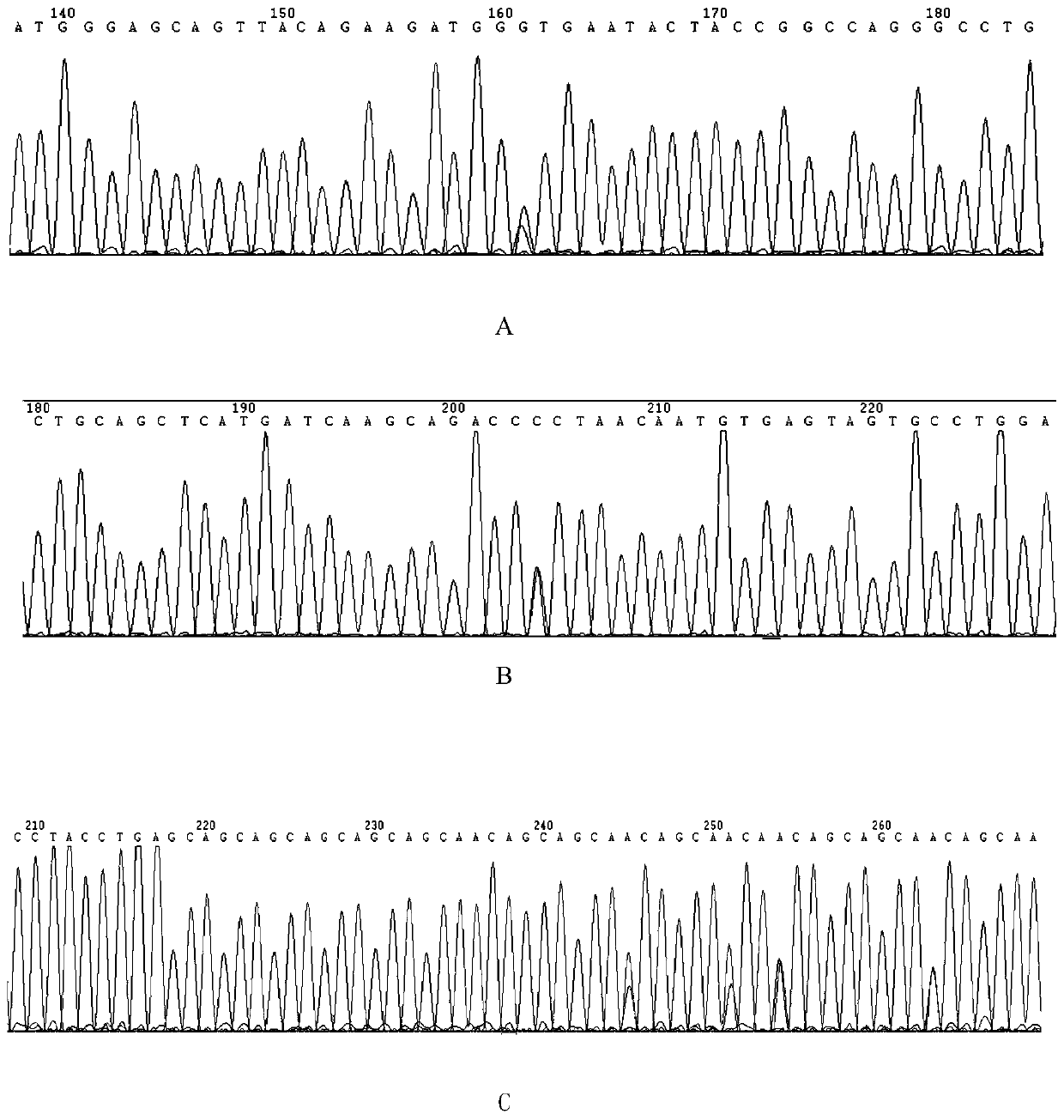 MED12 gene mutation detecting kit and application thereof