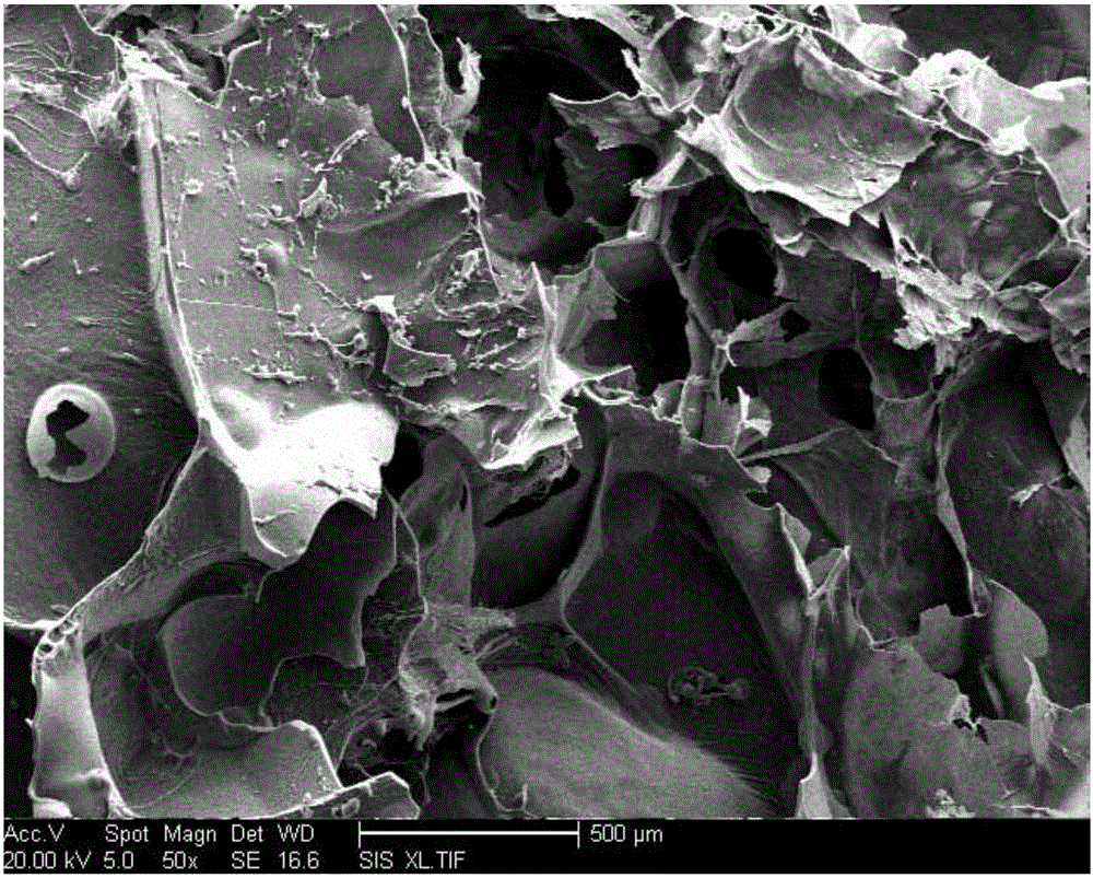 Preparation method for magnetic carbon aerogel