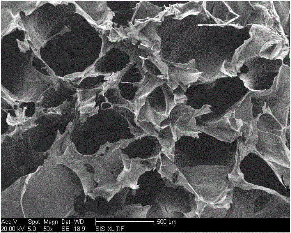 Preparation method for magnetic carbon aerogel