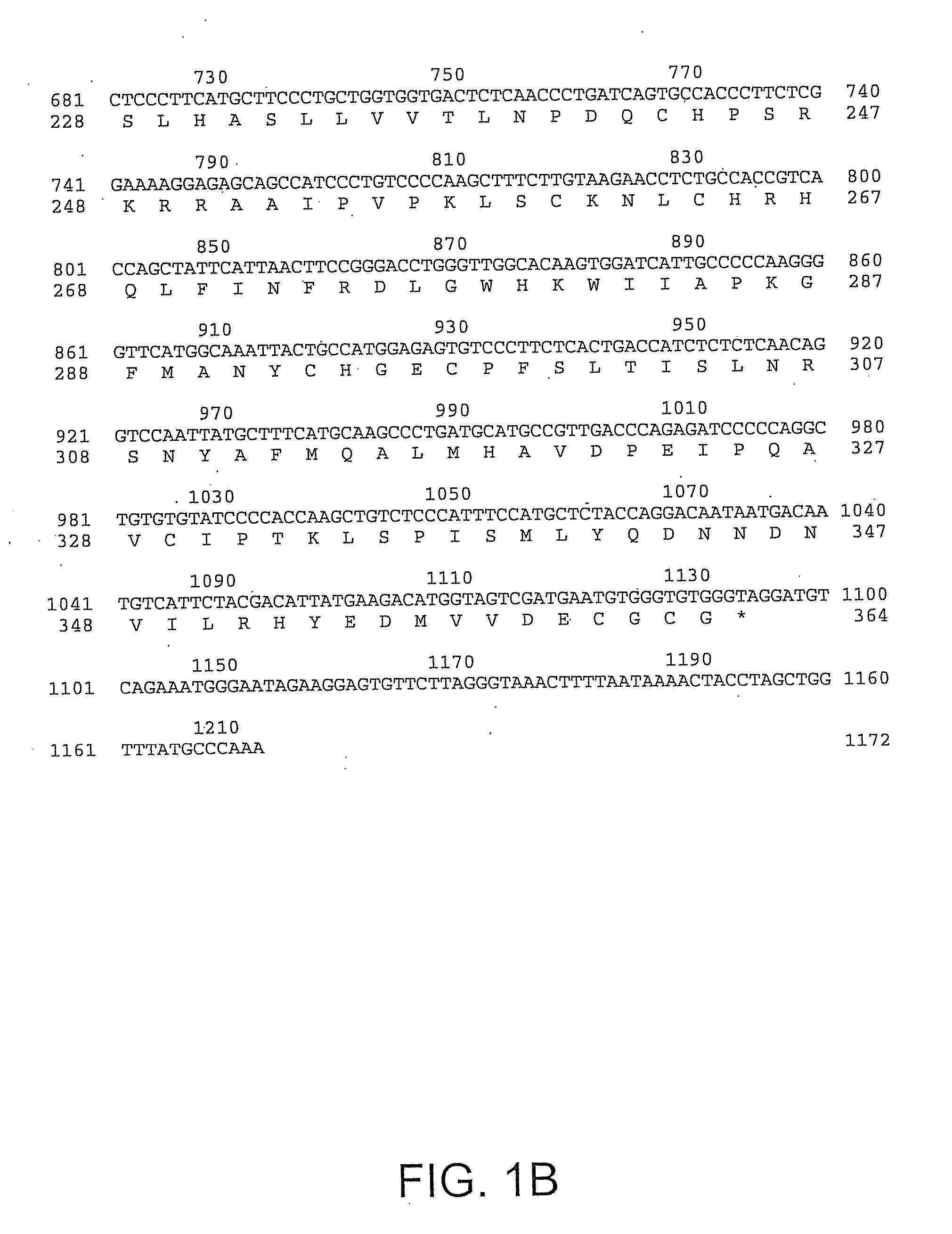 Growth Factor HTTER36