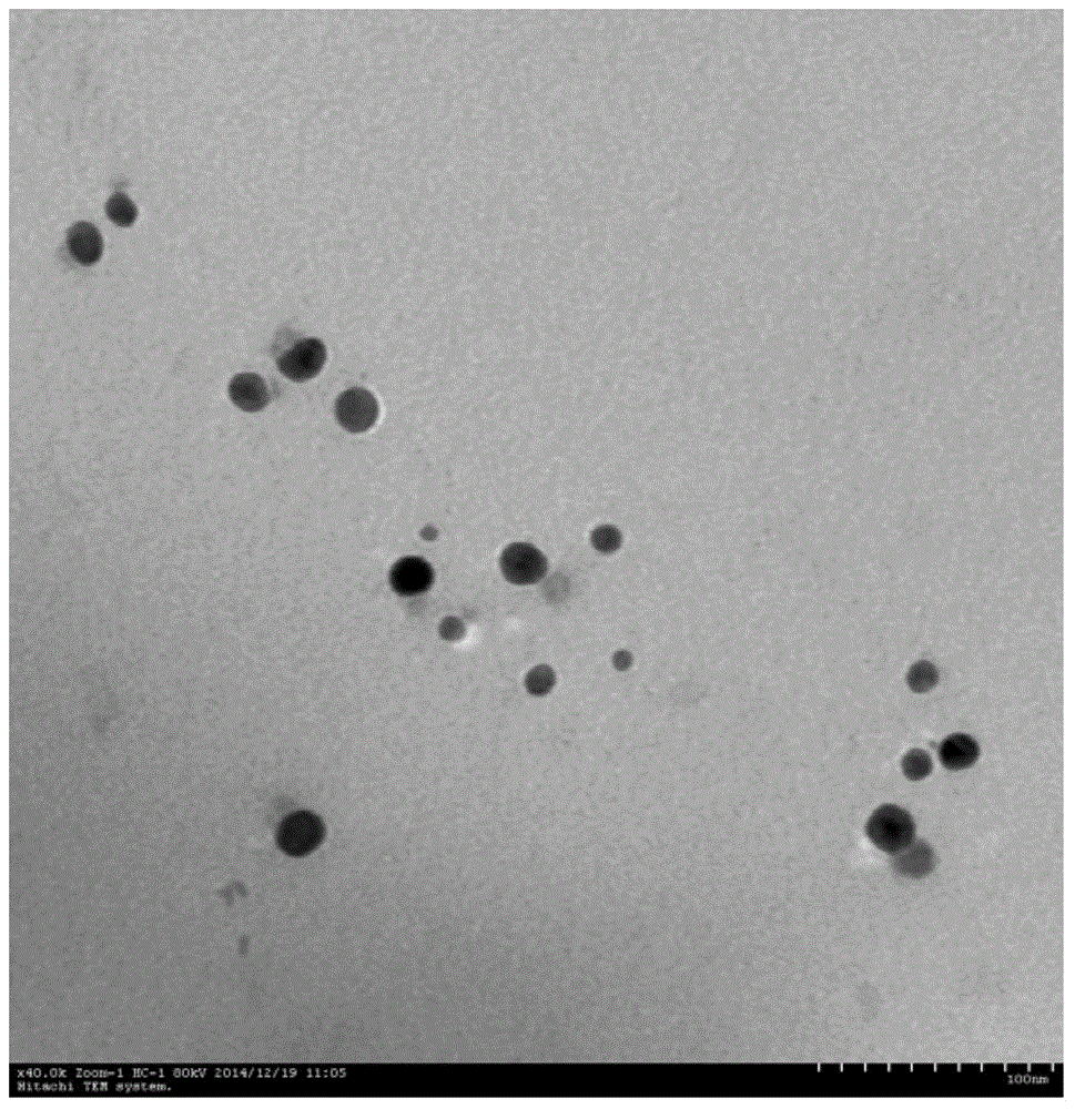 Method for preparing nano-silver by means of microalgae