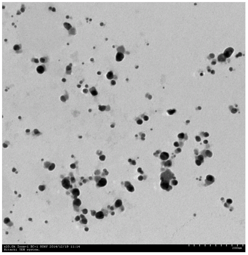 Method for preparing nano-silver by means of microalgae