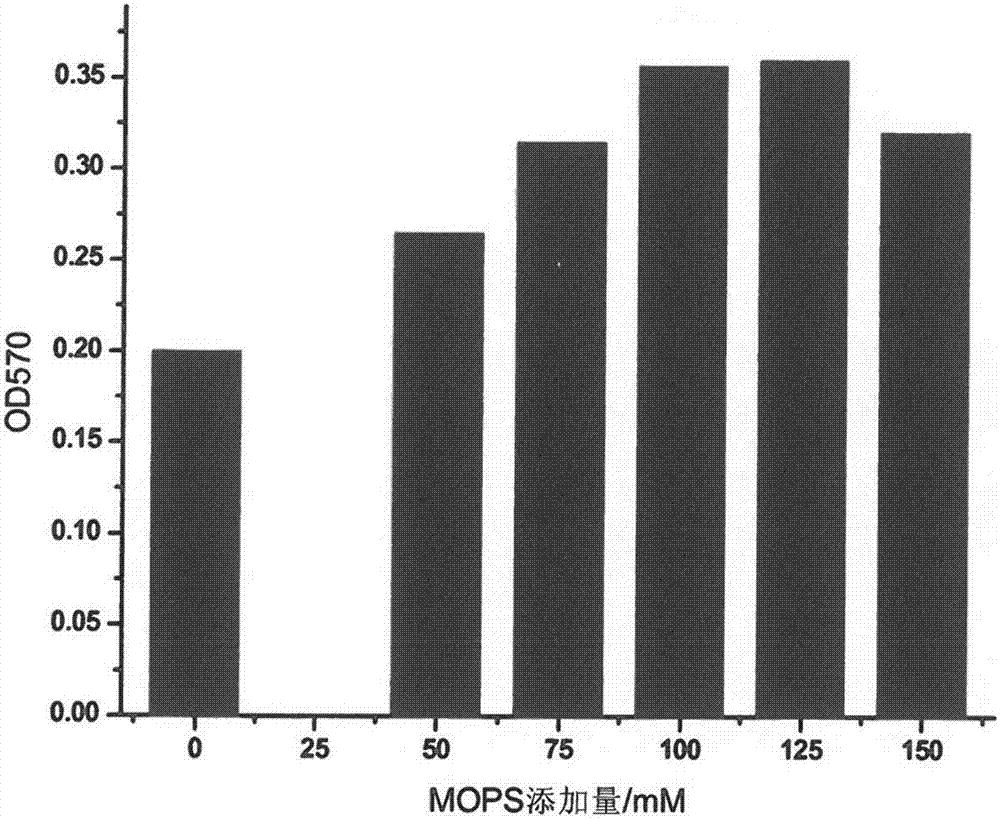 Escherichia coli immobilizing method and method for producing L-lysine through fed-batch fermentation of immobilized escherichia coli