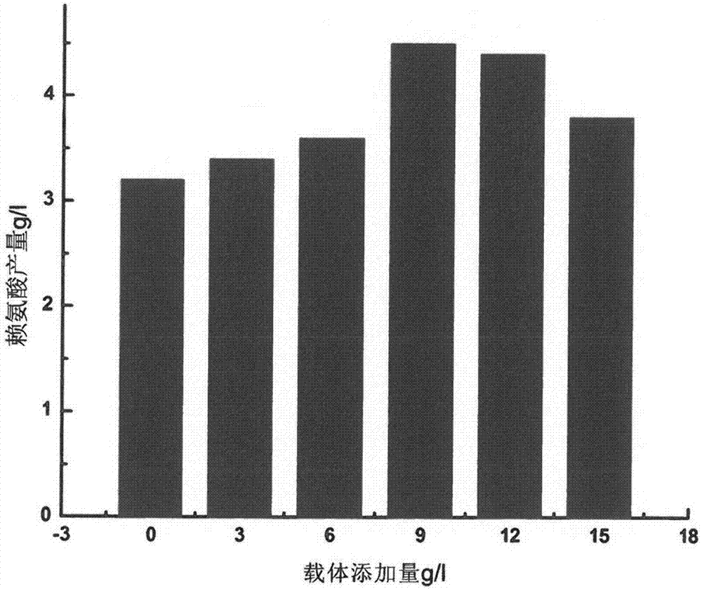 Escherichia coli immobilizing method and method for producing L-lysine through fed-batch fermentation of immobilized escherichia coli