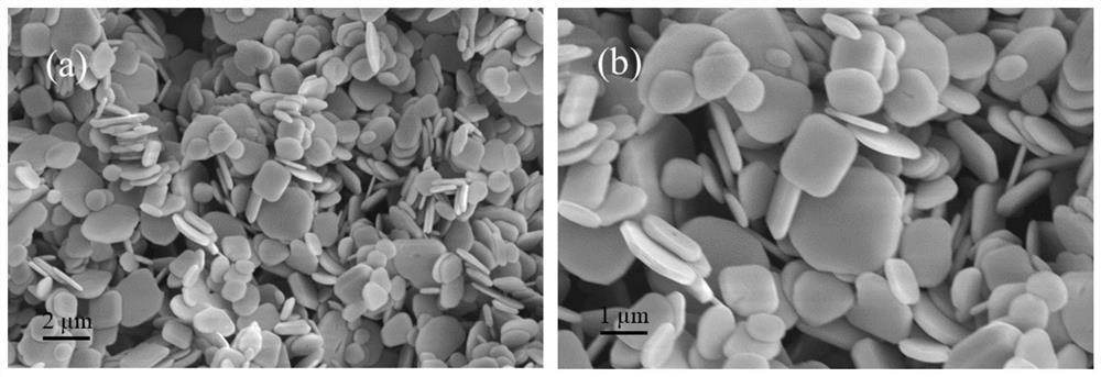 Preparation method and application of bismuth oxychloride photocatalyst