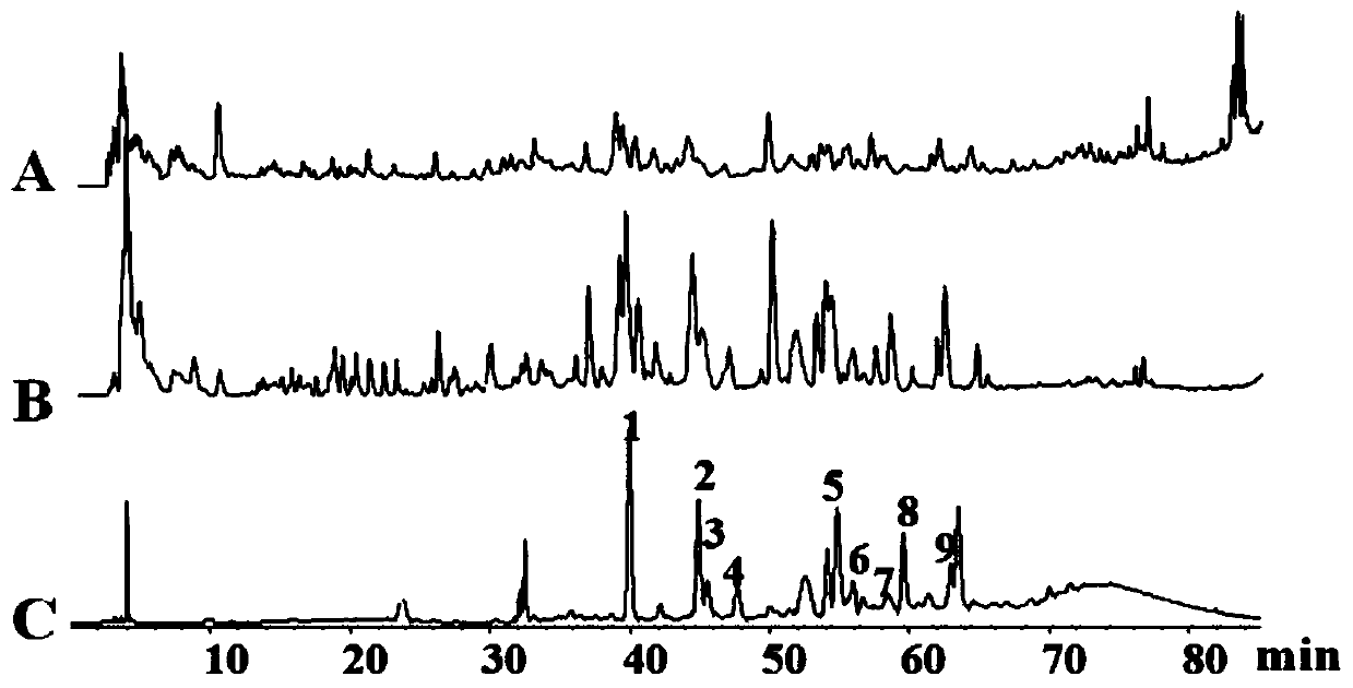 Dendrobium officinale kimuraet migo extract rich in flavone carbon glycosides and application of extract