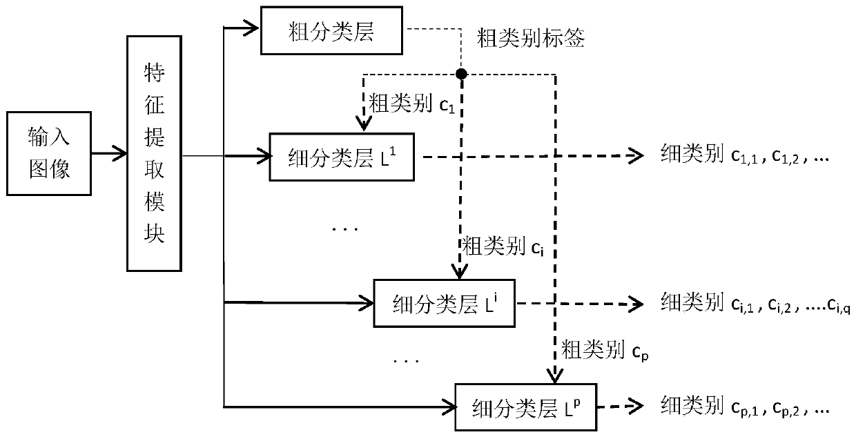 Image classification method and system based on hierarchical multi-task learning