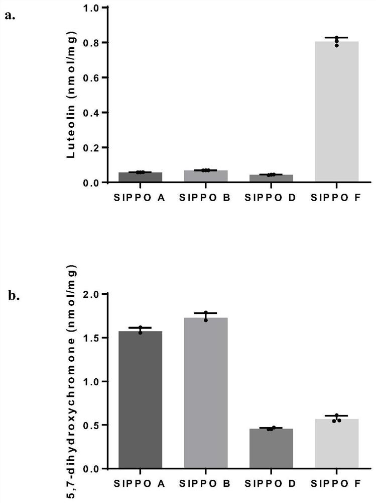 Application of polyphenol oxidase and method for synthesizing flavone