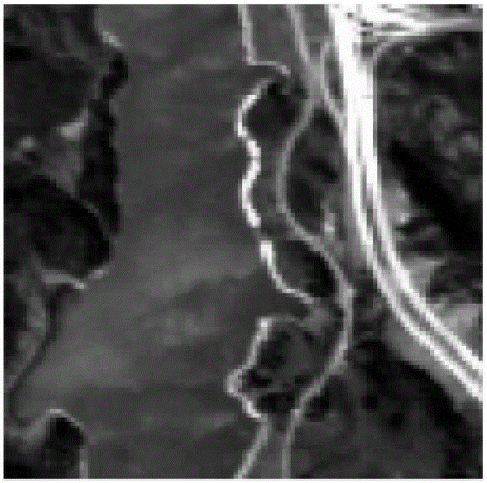 Hyper-spectral image nonlinear de-mixing method based on differential search