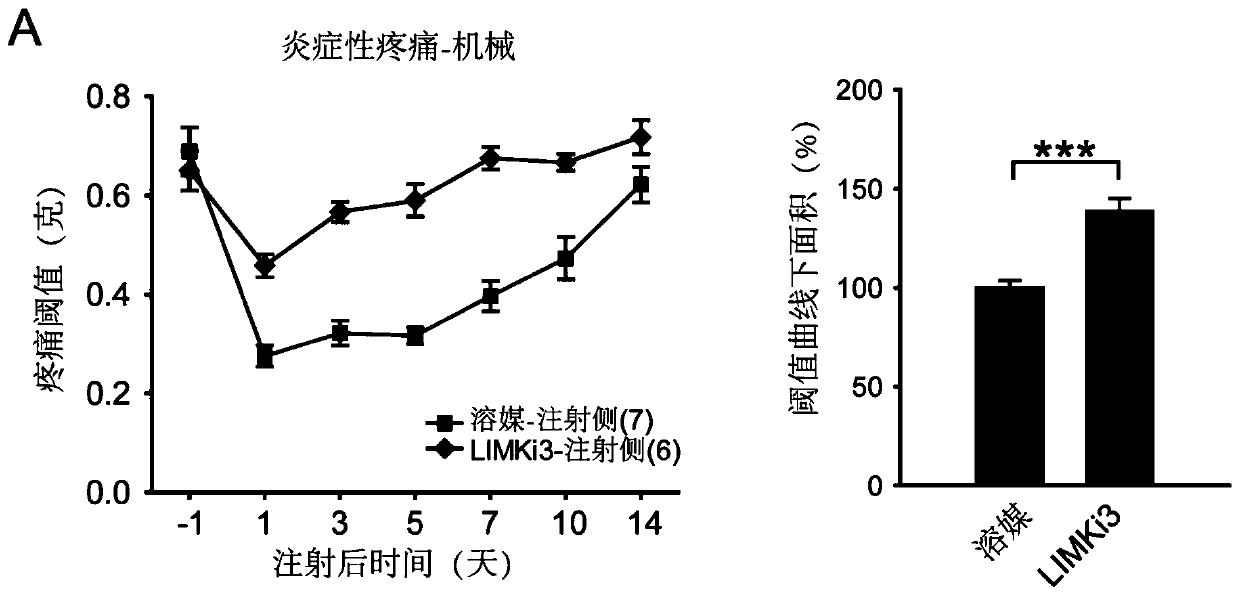 Application of lim kinase inhibitor limki3 in preparation of medicine for treating pain