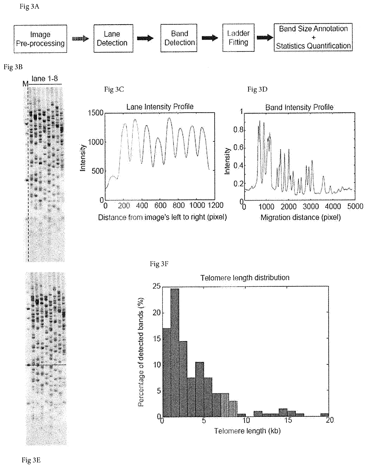 Method to measure the shortest telomeres