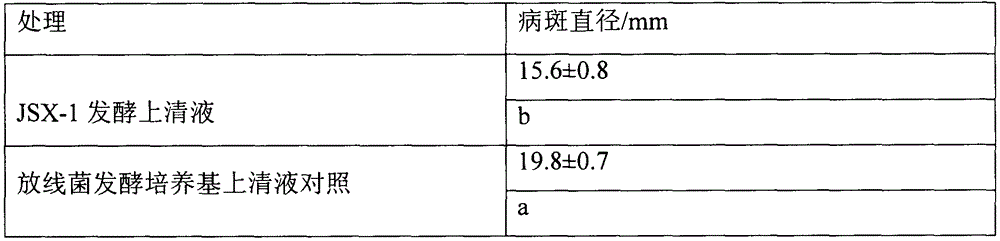 Actinomycete strain JSX-1 for preventing and curing phytophthora sojae and fungicide thereof