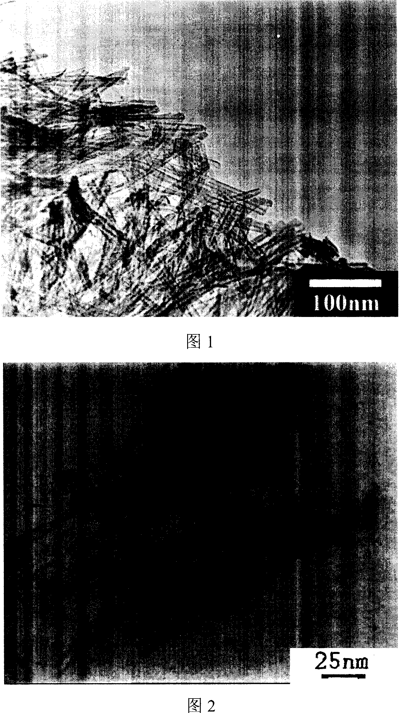 Method for preparing Nano tube of titanate