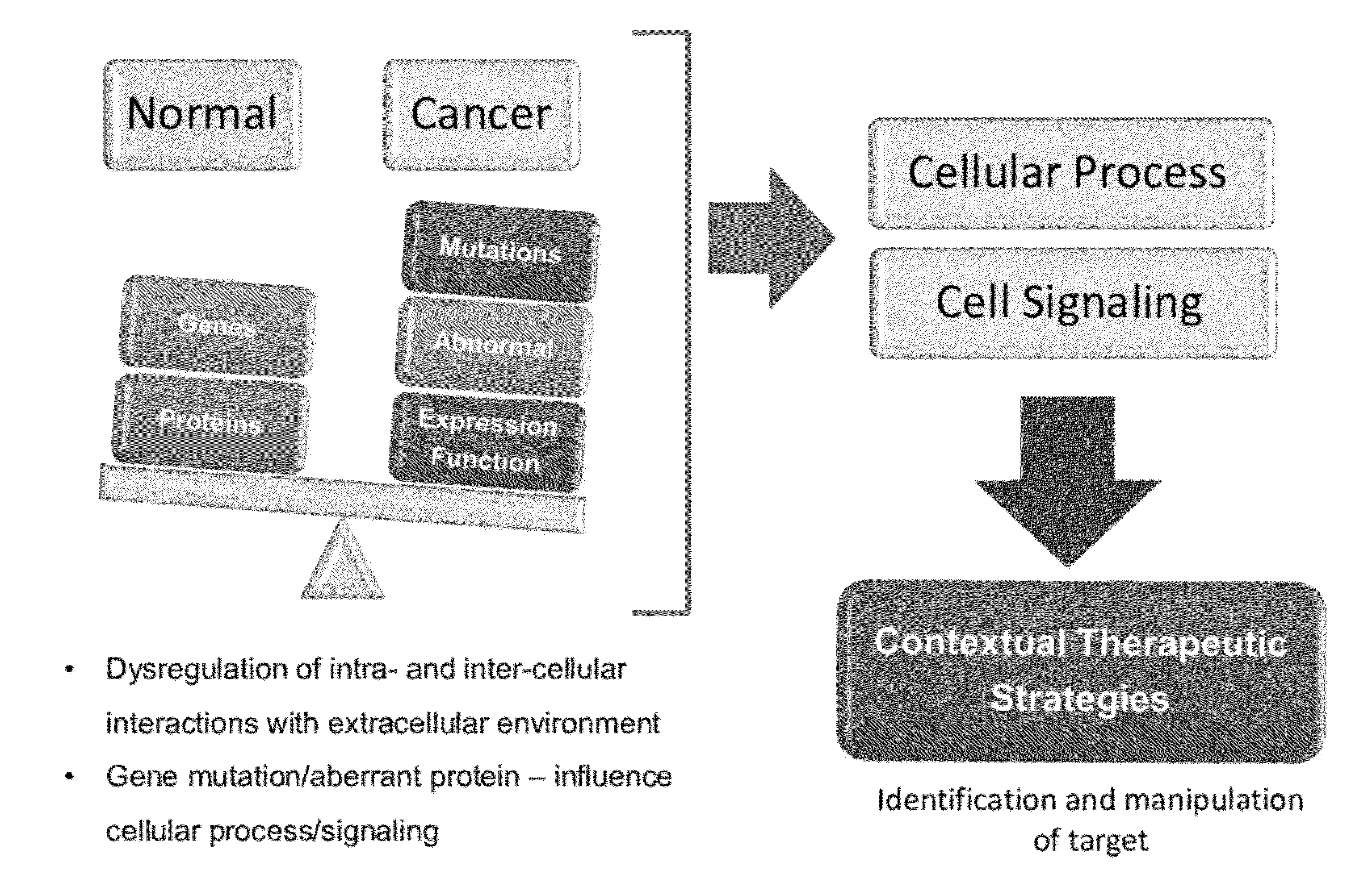 Interrogatory cell-based assays and uses thereof