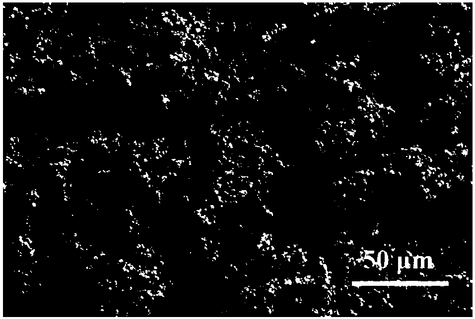 Preparation and application of oil-water separation net membrane with different wettability