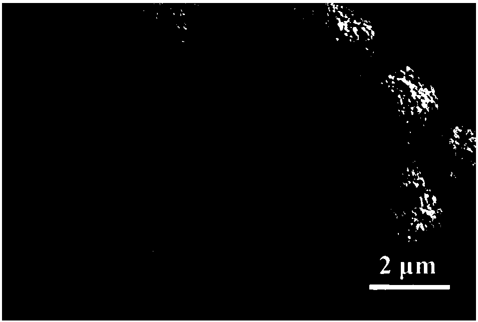 Preparation and application of oil-water separation net membrane with different wettability