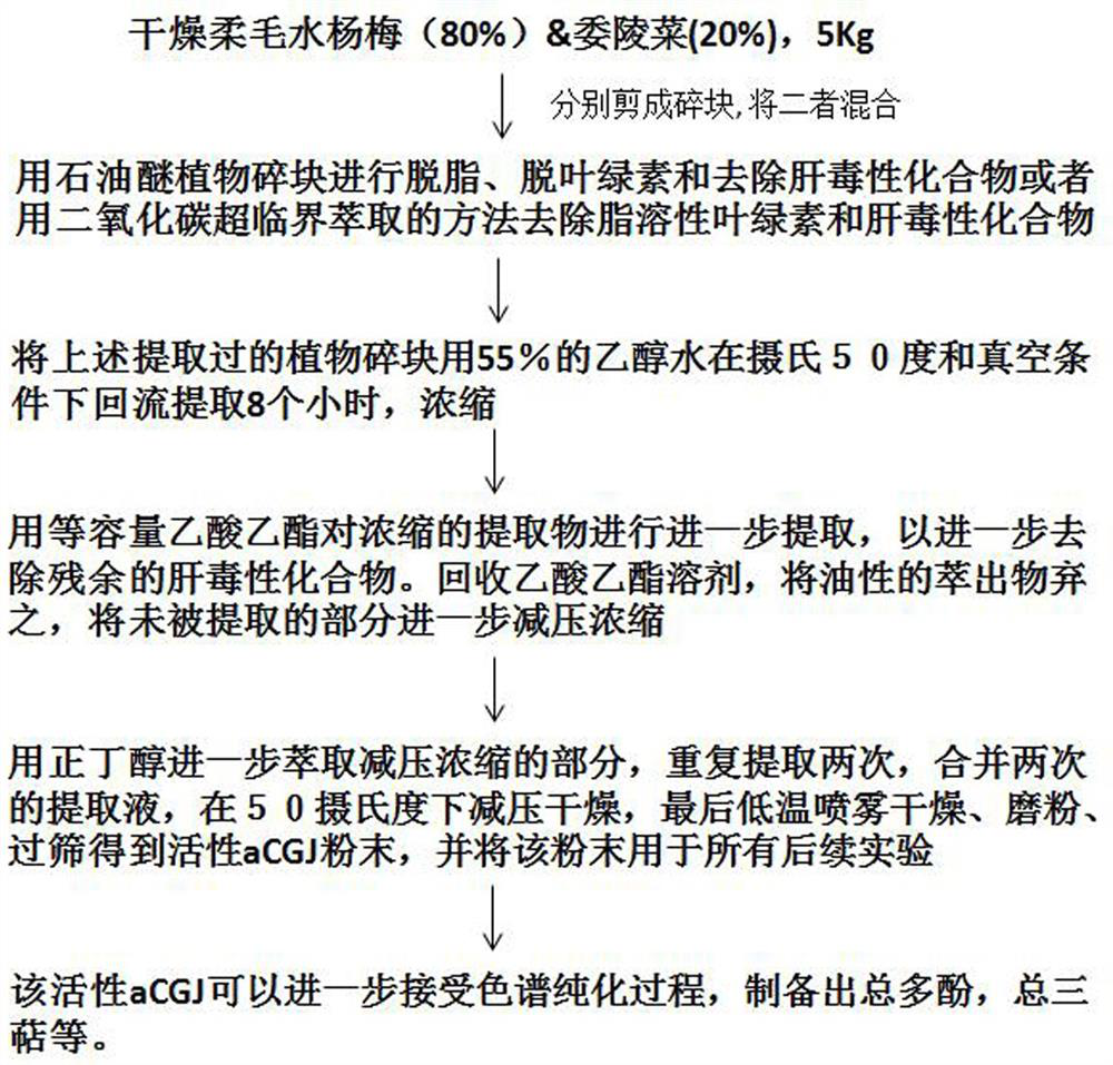 Medicine for preventing and treating ischemic heart disease of mammals as well as preparation method and application of medicine